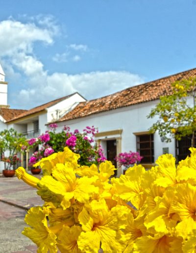 Distrito Provincia